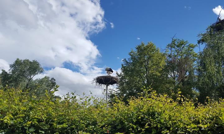 Gaststaette Zum Vogelpark